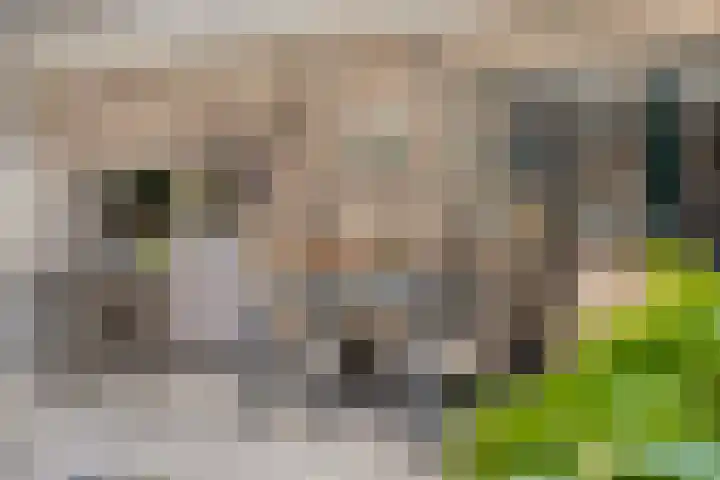 Kersenlaan 21 Hoofdplaat thumbnail 24