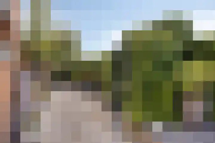 Kersenlaan 21 Hoofdplaat thumbnail 27