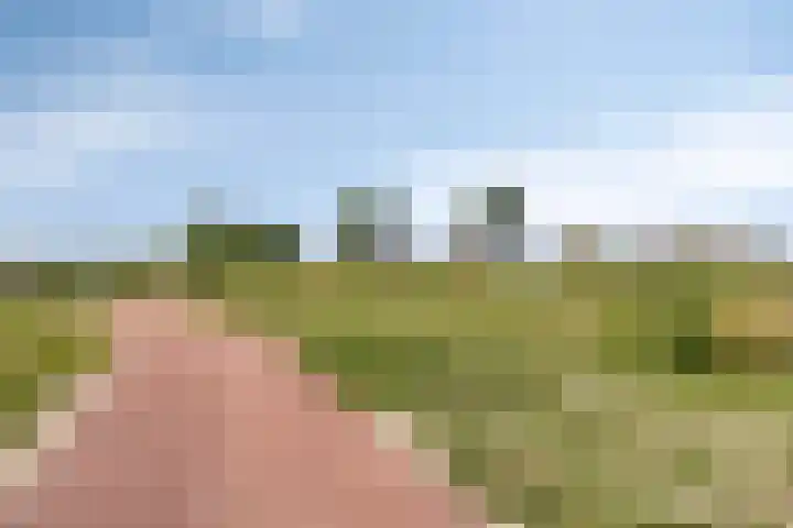 Kersenlaan 21 Hoofdplaat thumbnail 29