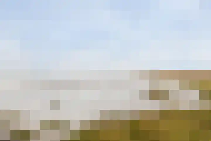 Kersenlaan 21 Hoofdplaat thumbnail 31
