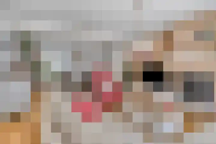 Kersenlaan 21 Hoofdplaat thumbnail 5
