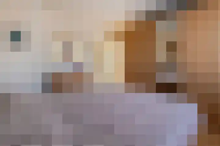 Kersenlaan 4 Bunde thumbnail 24