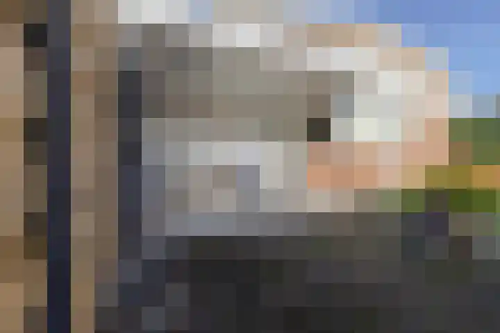 Kersenlaan 4 Bunde thumbnail 34