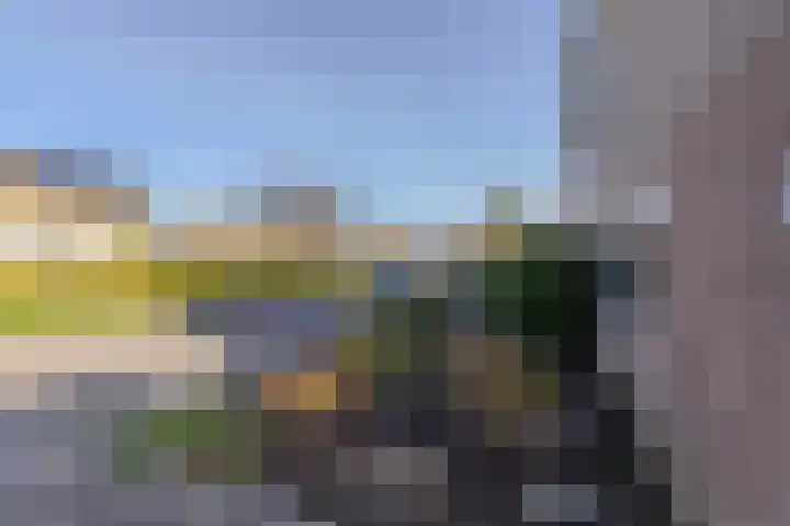 Kersenlaan 4 Bunde thumbnail 37