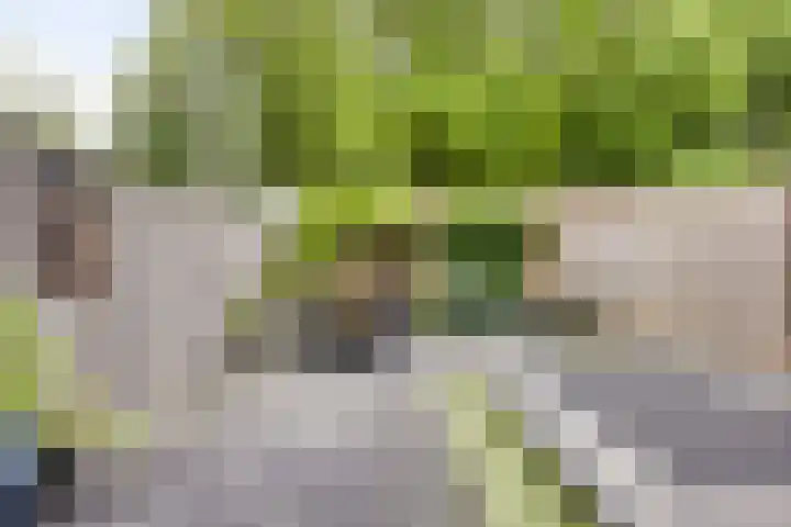 Kersenlaan 55 Oss thumbnail 4