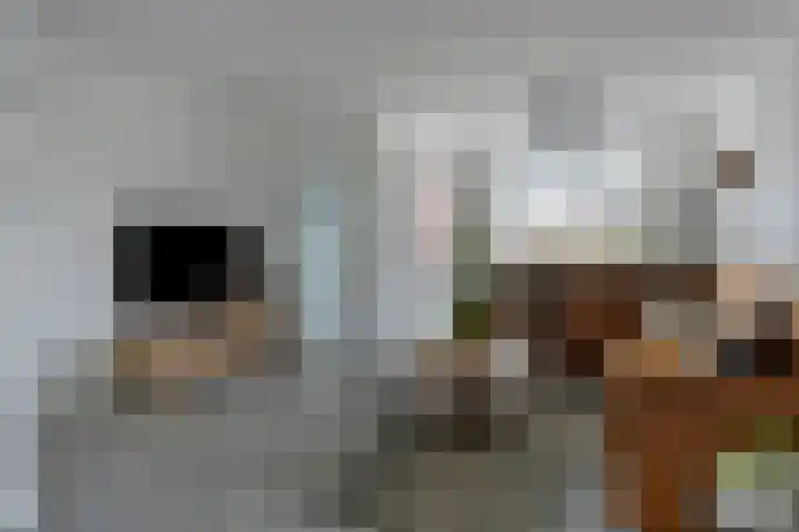 Kersenlaan 57 Oss thumbnail 10