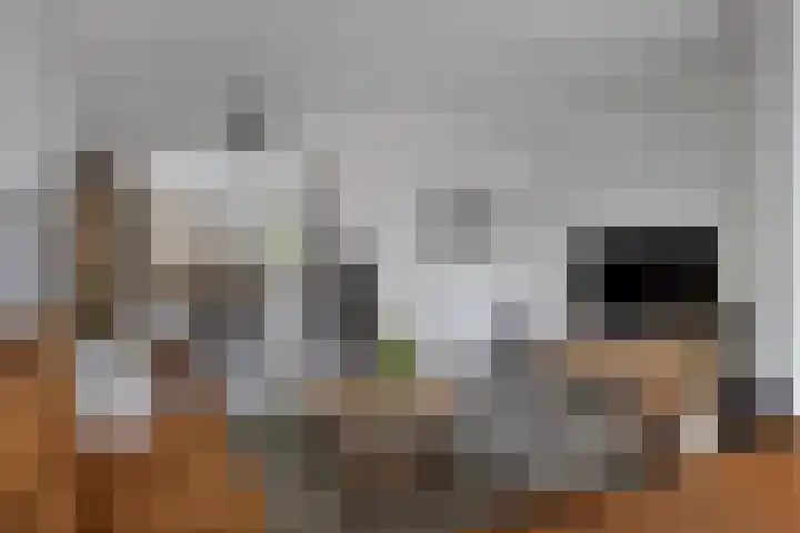 Kersenlaan 57 Oss thumbnail 15