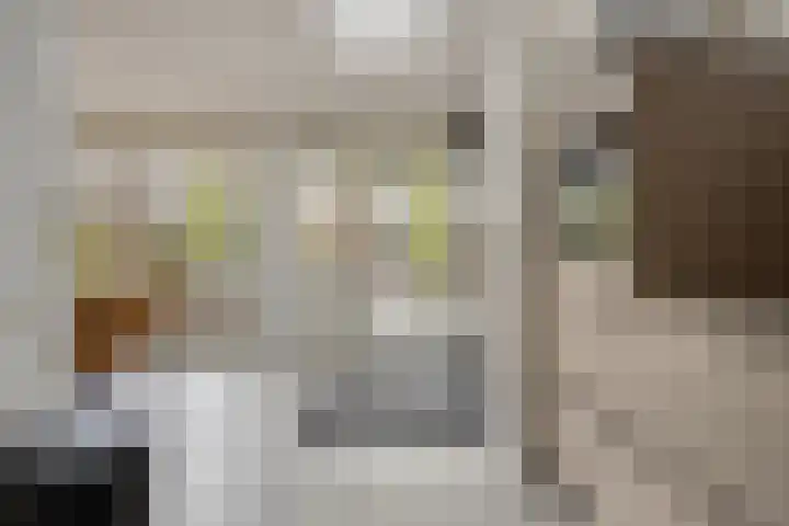 Kersenlaan 57 Oss thumbnail 22