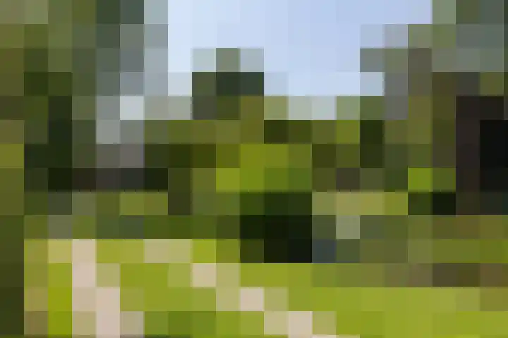 Kersenlaan 57 Oss thumbnail 27