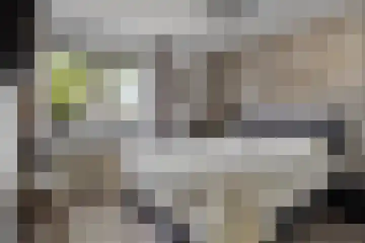 Kersenlaan 57 Oss thumbnail 28