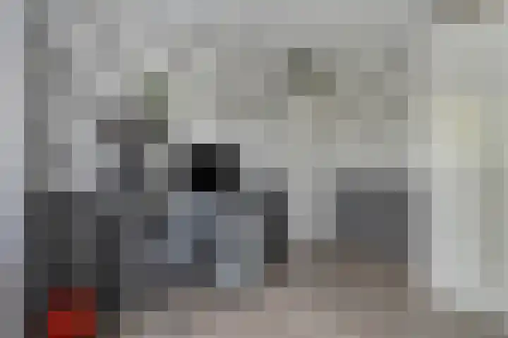 Kersenlaan 57 Oss thumbnail 33