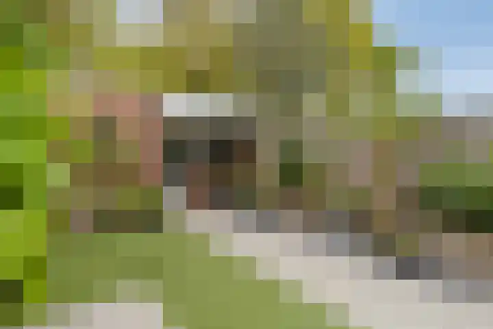 Kersenlaan 57 Oss thumbnail 38