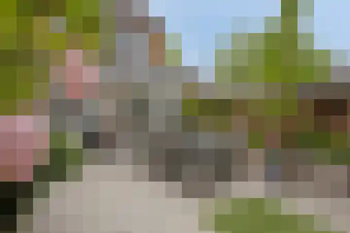 Kersenlaan 57 Oss thumbnail 40