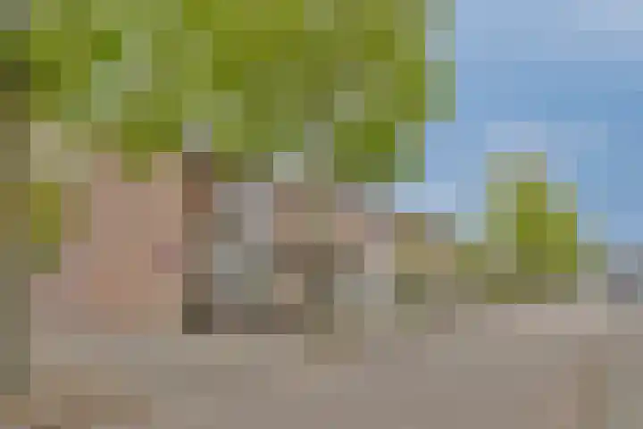 Kersenlaan 57 Oss thumbnail 46