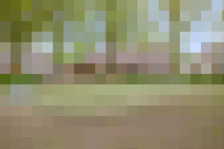 Kersenlaan 57 Oss thumbnail 47
