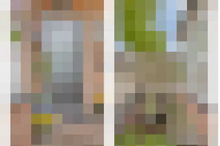 Kersenlaan 57 Oss thumbnail 6