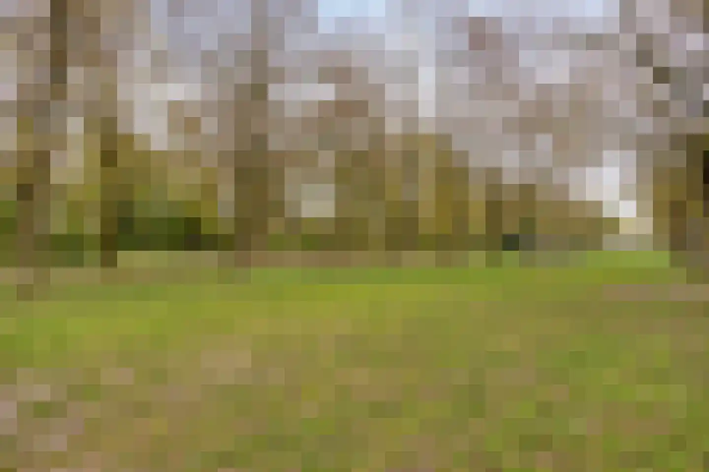 Kersenlaan 86 Apeldoorn thumbnail 25