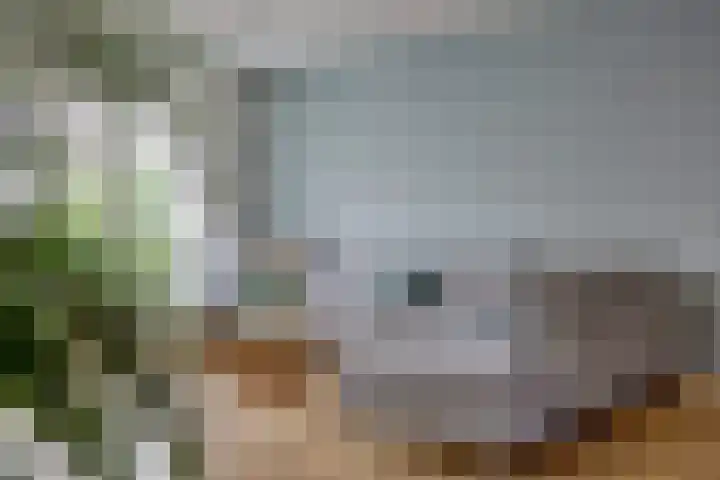 Kersenplukkerserf 13 Arnhem thumbnail 10