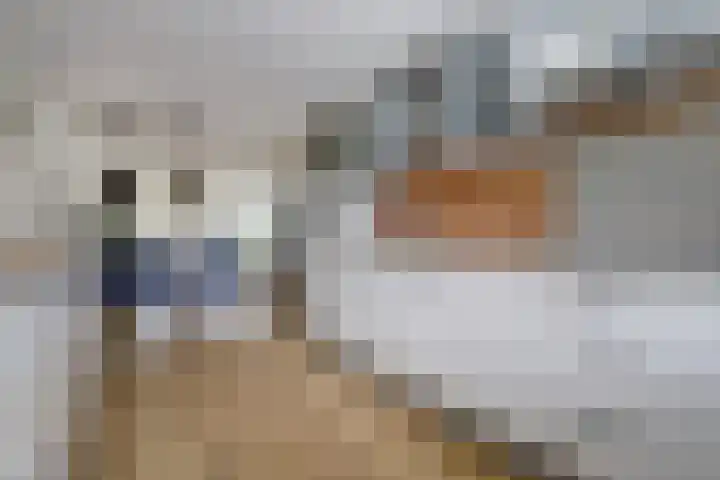 Kersenplukkerserf 13 Arnhem thumbnail 13