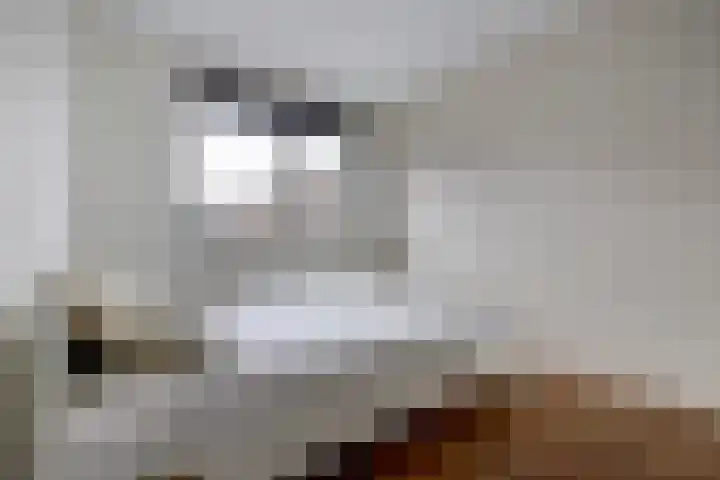 Kersenplukkerserf 13 Arnhem thumbnail 18