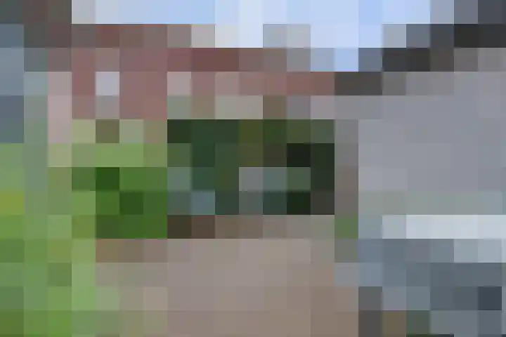 Kersenplukkerserf 13 Arnhem thumbnail 36