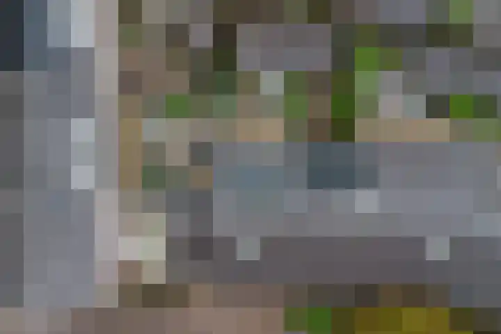 Kersenplukkerserf 13 Arnhem thumbnail 38