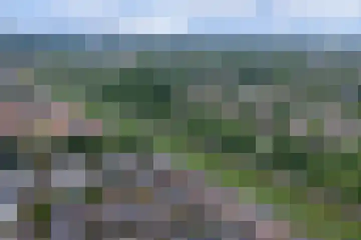 Kersenplukkerserf 13 Arnhem thumbnail 42