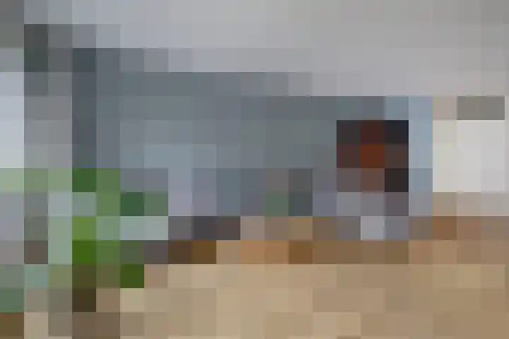 Kersenplukkerserf 13 Arnhem thumbnail 8