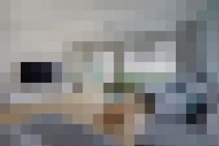 Kersenplukkerserf 13 Arnhem thumbnail 9
