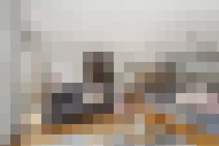 Kersenplukkerserf 17 Arnhem thumbnail 10