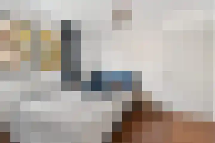 Kersenplukkerserf 17 Arnhem thumbnail 24