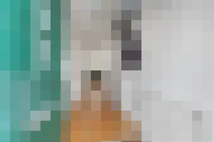Kersenplukkerserf 17 Arnhem thumbnail 6