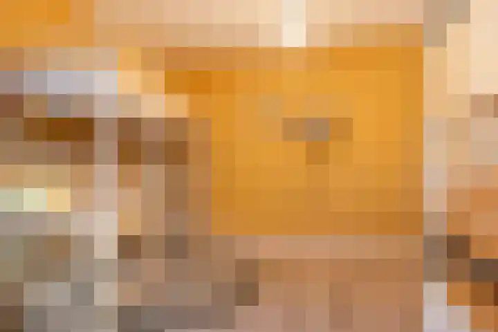 Kersenplukkerserf 19 Arnhem thumbnail 18