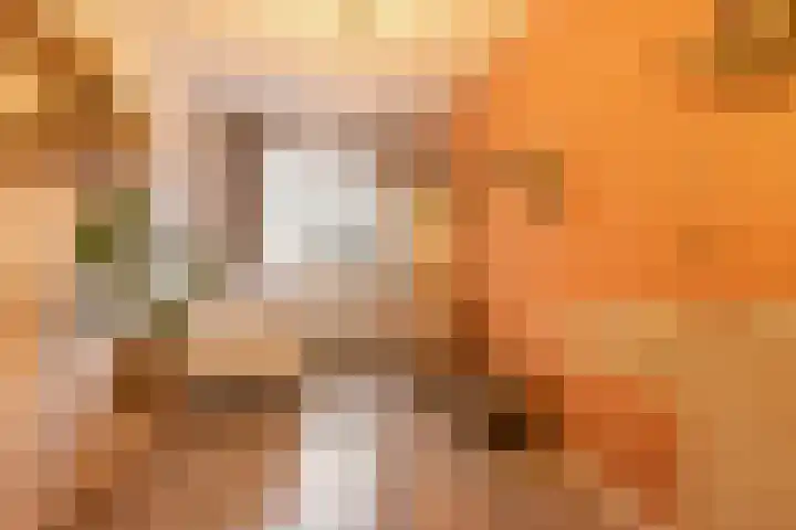 Kersenplukkerserf 19 Arnhem thumbnail 19