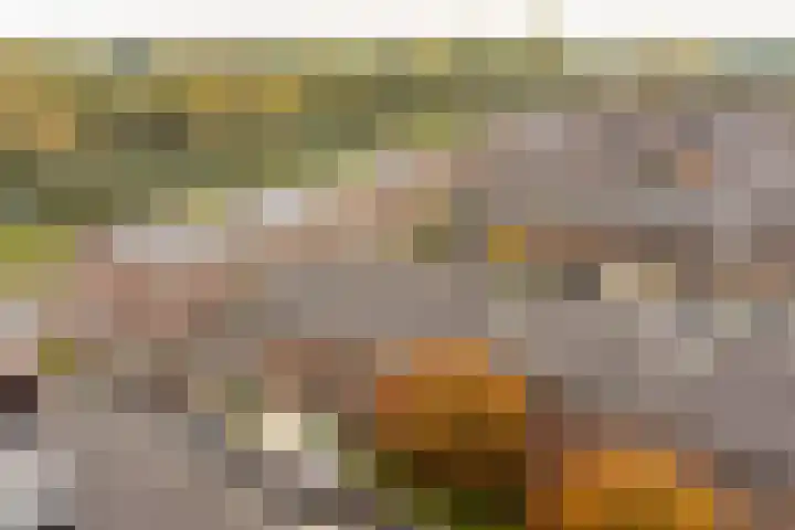 Kersenplukkerserf 19 Arnhem foto 2