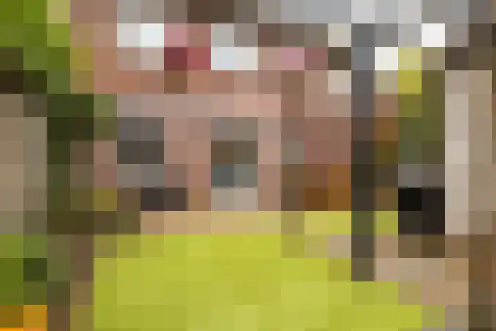 Kersenplukkerserf 19 Arnhem thumbnail 30