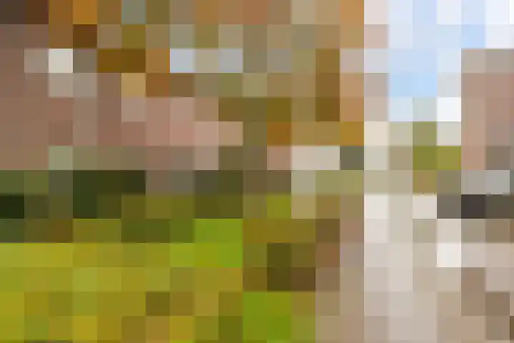 Kersenplukkerserf 19 Arnhem thumbnail 34