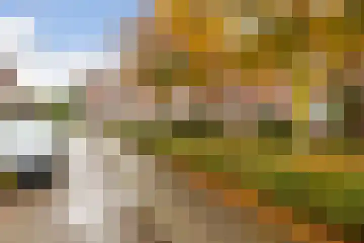 Kersenplukkerserf 19 Arnhem thumbnail 35