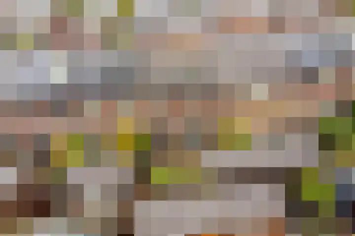 Kersenplukkerserf 19 Arnhem thumbnail 36