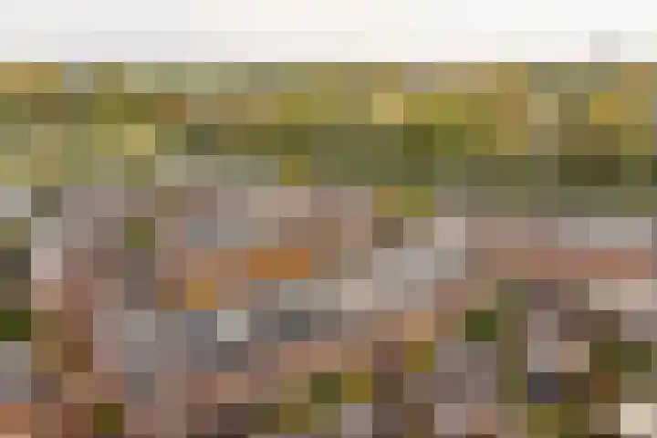 Kersenplukkerserf 19 Arnhem thumbnail 37