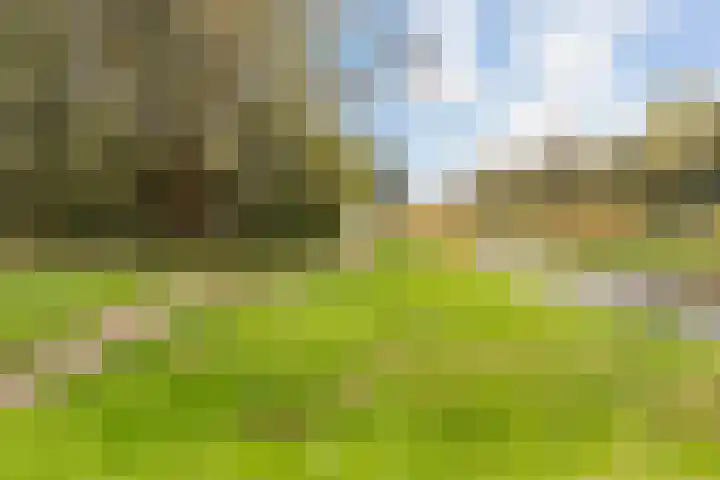 Kersenplukkerserf 19 Arnhem thumbnail 39