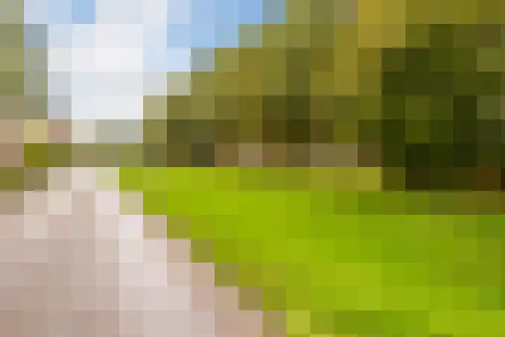 Kersenplukkerserf 19 Arnhem thumbnail 40