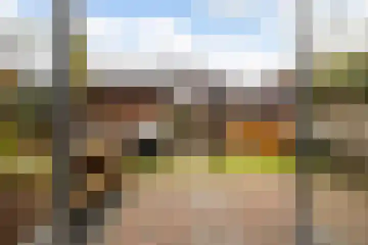Kersenplukkerserf 19 Arnhem thumbnail 5