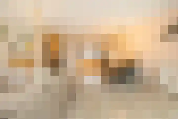 Kersenplukkerserf 19 Arnhem thumbnail 8