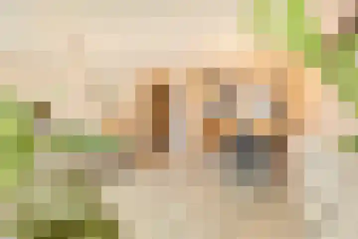 Kersenplukkerserf 19 Arnhem thumbnail 9