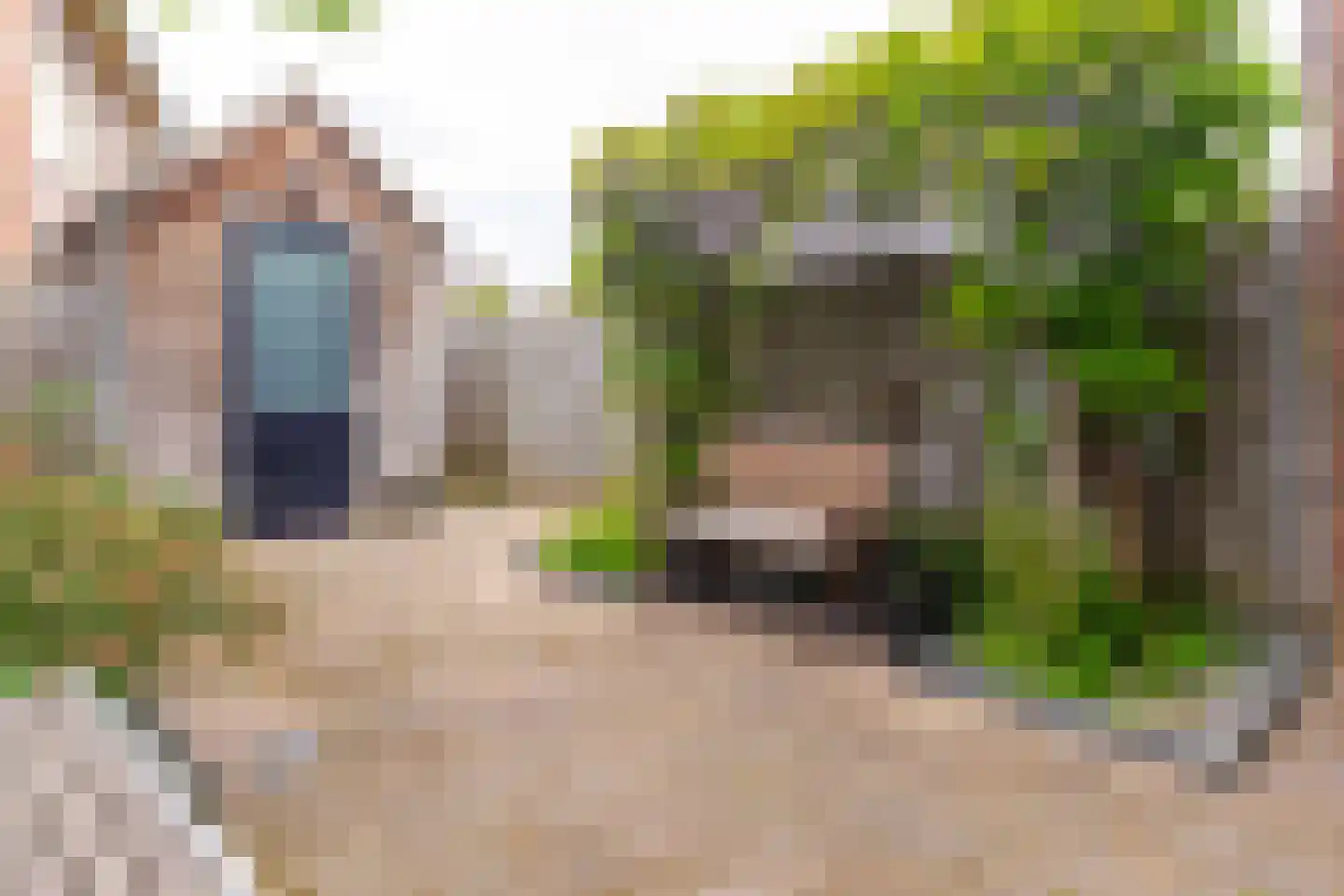 Kersenplukkerserf 3 Arnhem thumbnail 27