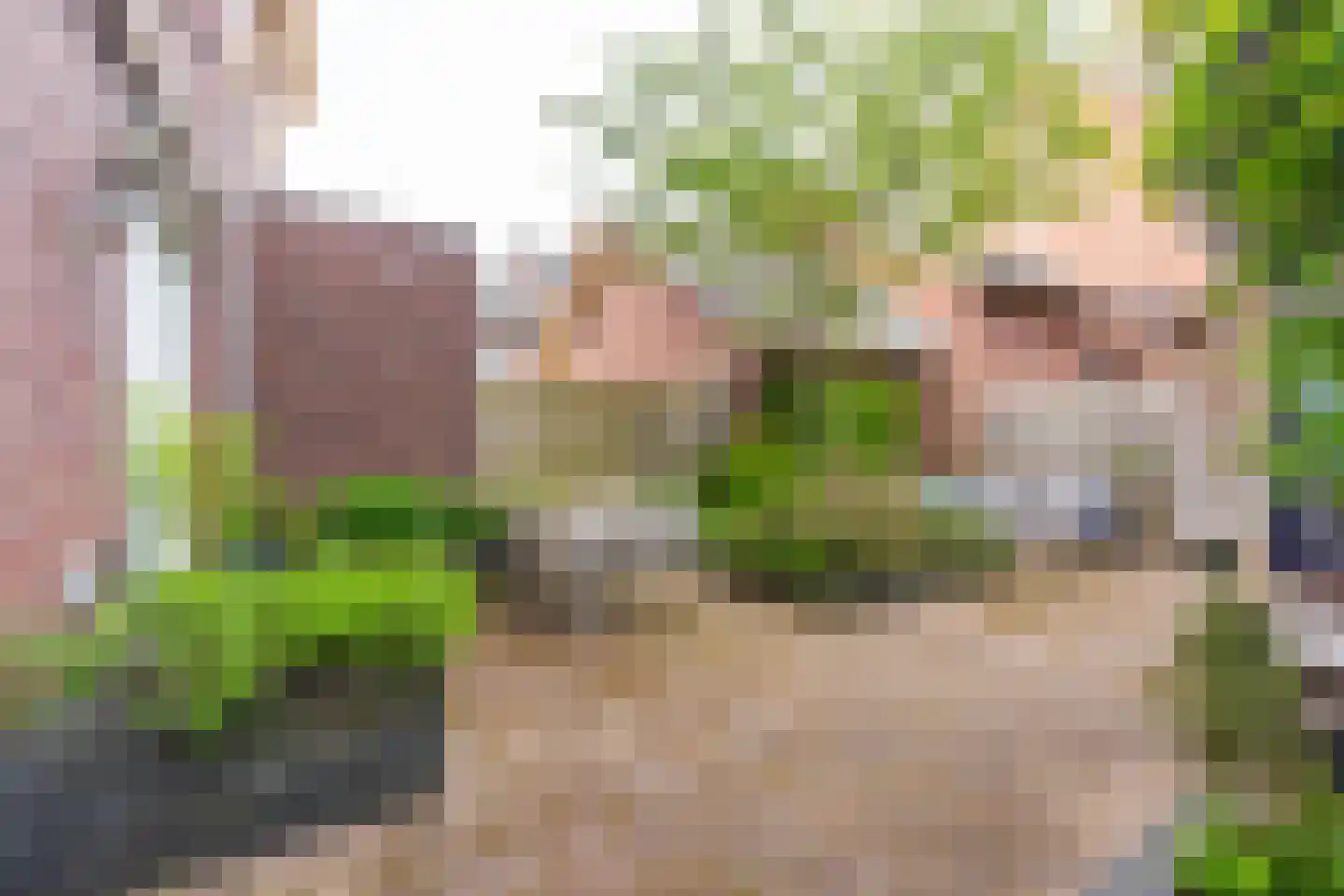 Kersenplukkerserf 3 Arnhem thumbnail 4