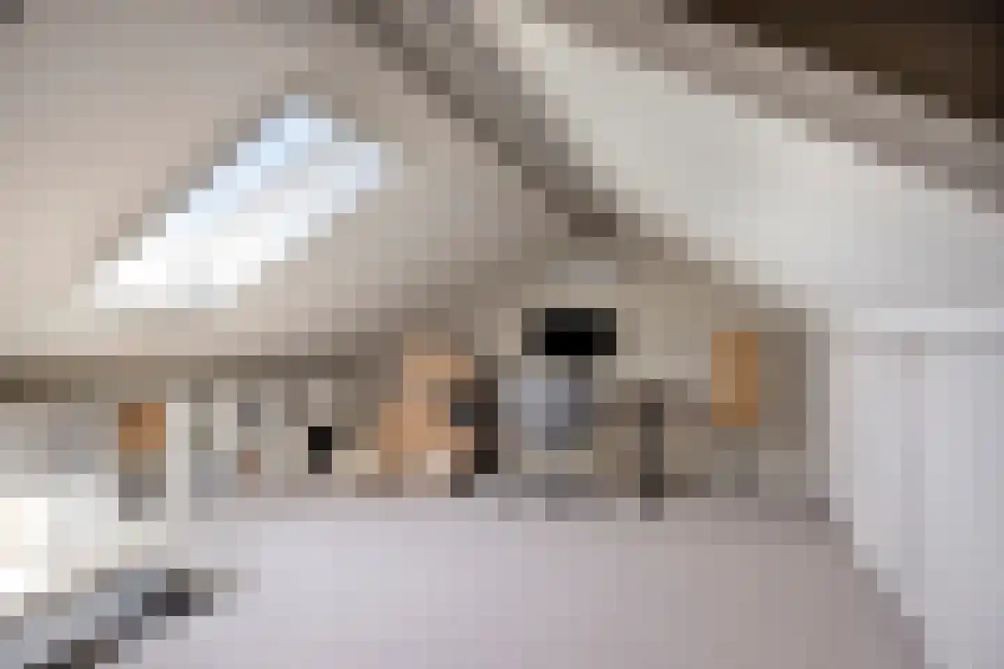 Kersenplukkerserf 38 Arnhem thumbnail 17