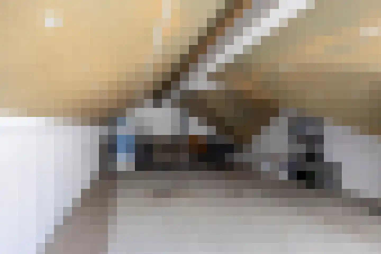 Kersenplukkerserf 38 Arnhem thumbnail 18