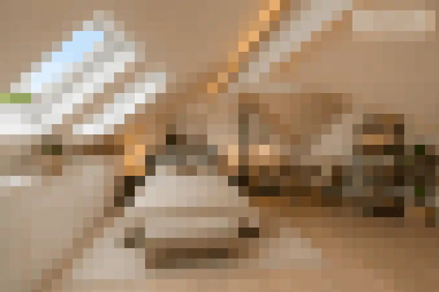 Kersenplukkerserf 38 Arnhem thumbnail 19